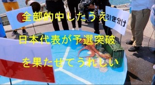 北海道のタコ1.jpg