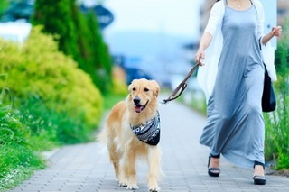 犬を飼う10.jpg