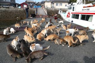 青島13.jpg